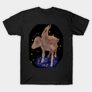 Double the Starlight Dreams T-Shirt
